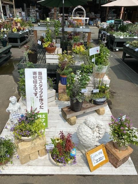 20200809 07.jpg