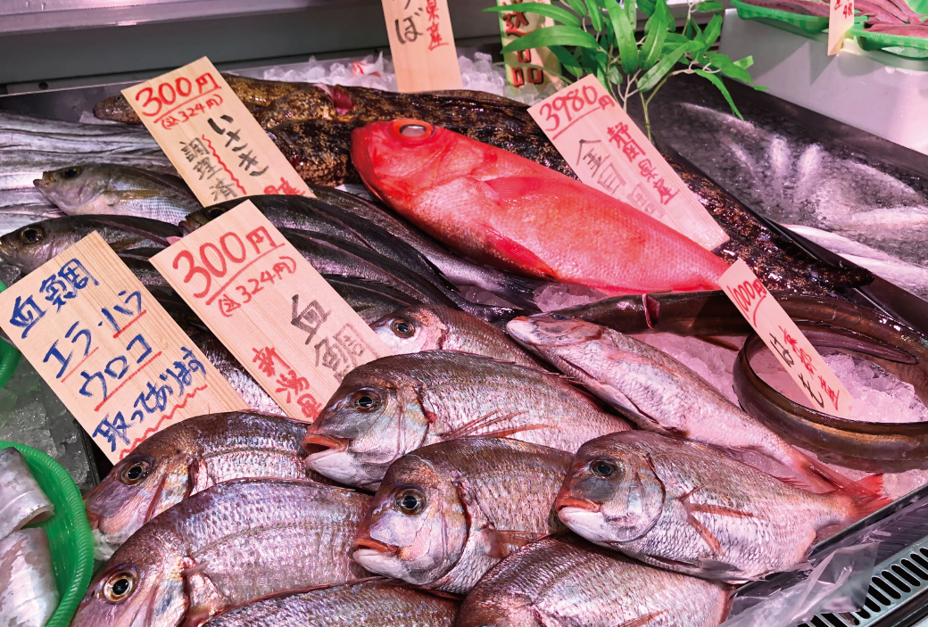 名古屋直送_鮮魚（松本芳川）.png