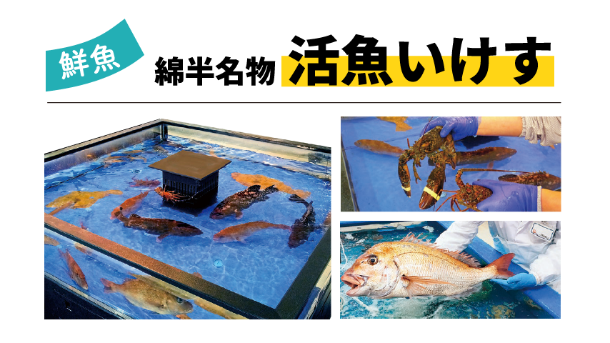 新鮮.png