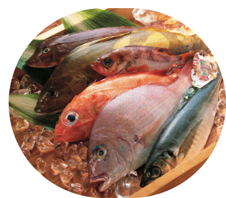水揚げされたばかりのお魚