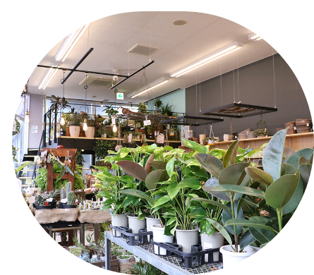 園芸用品
