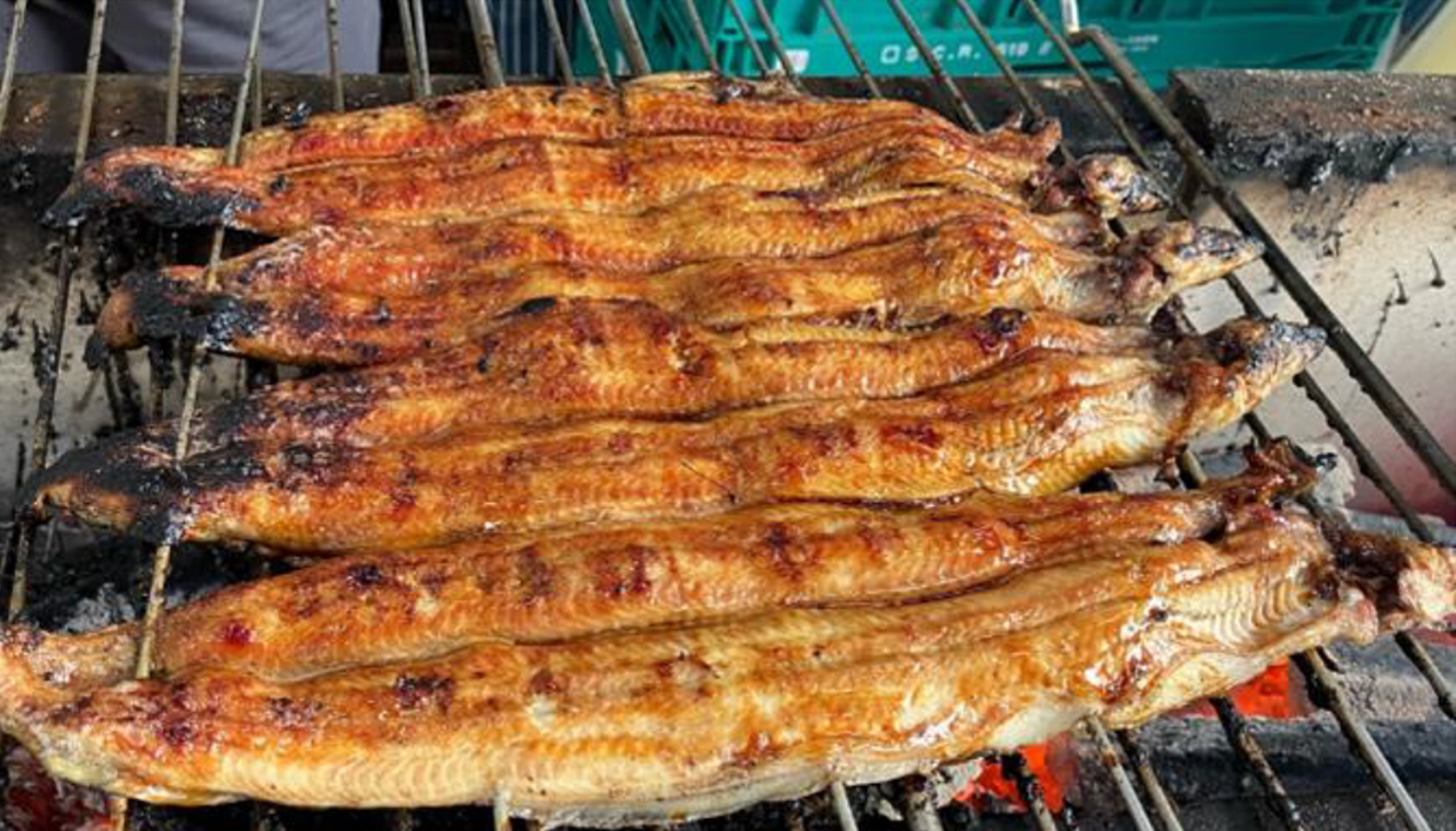 鰻の蒲焼き