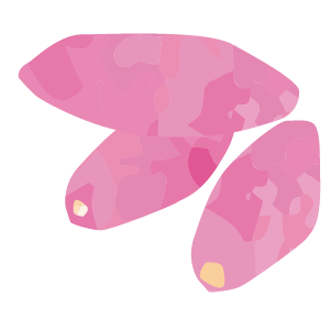 さつまいも